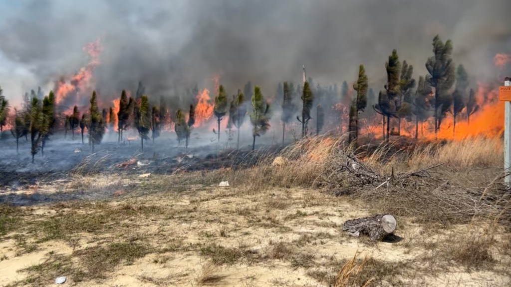 Screenshot 2026-02-26 at 5.02.39 PM